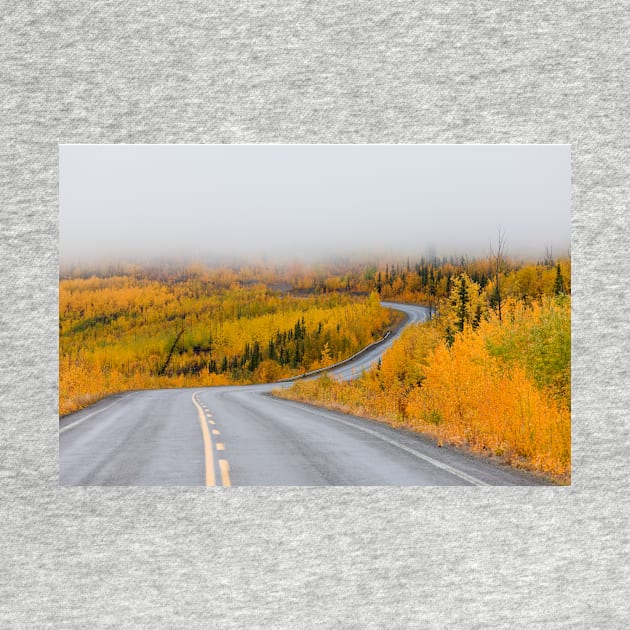 Winding golden fall taiga road Yukon Canada by ImagoBorealis